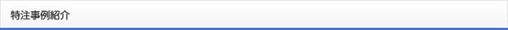 特注事例紹介